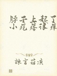 脖子上起了好多小疙瘩很痒痒