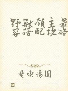 野兽领主最强阵容搭配攻略