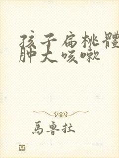 孩子扁桃体2度肿大咳嗽