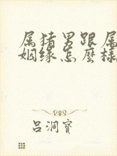 属猪男跟属兔女姻缘怎么样封面