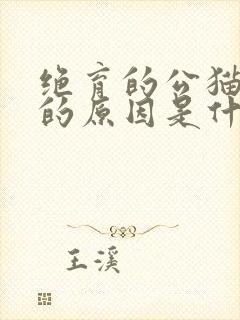 绝育的公猫乱尿的原因是什么封面