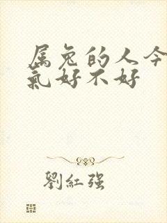 属兔的人今年运气好不好