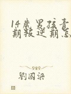 14岁男孩青春期叛逆期怎么办