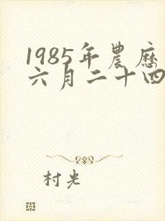 1985年农历六月二十四出生的命运