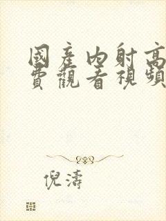 国产内射高清免费观看视频