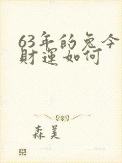 63年的兔今天财运如何