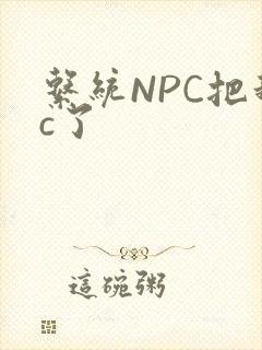 系统NPC把我c了
