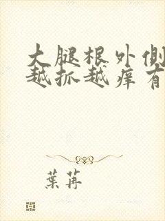 大腿根外侧痒痒越抓越痒有小红疙瘩