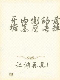 牙内侧的黄黑牙垢怎么去掉