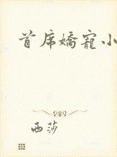 首席娇宠小情人