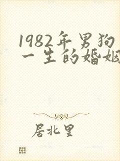 1982年男狗一生的婚姻和命运