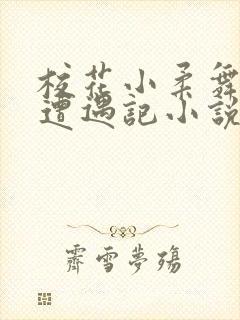 校花小柔舞蹈室遭遇记小说