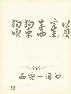 狗狗生完以后不吃东西怎么办封面