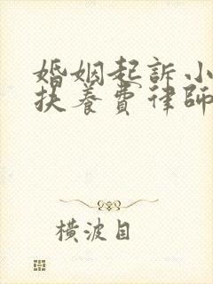 婚姻起诉小孩子扶养费律师要多少钱封面