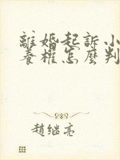 离婚起诉小孩抚养权怎么判