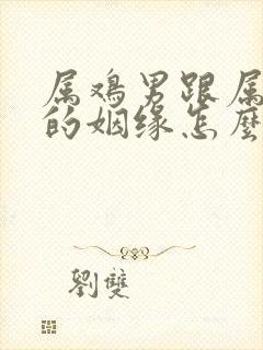 属鸡男跟属兔女的姻缘怎么样封面