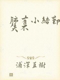 肺有小结节会消失不