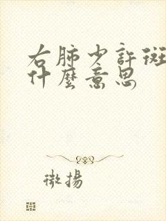 右肺少许斑点影什么意思