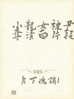 小龙女被尹志平夺清白片段