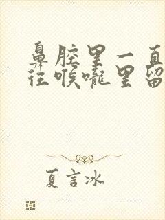 鼻腔里一直有痰往喉咙里留怎么办?