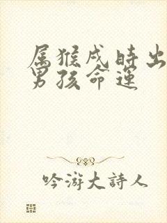 属猴戌时出生的男孩命运