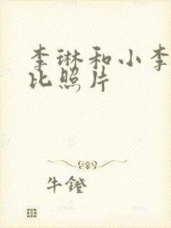 李琳和小李琳对比照片