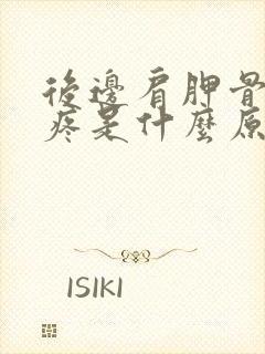 后边肩胛骨后背疼是什么原因引起的