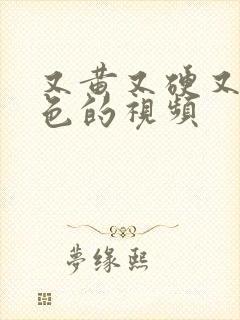 又黄又硬又爽又色的视频封面