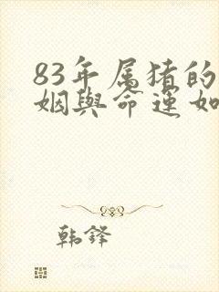 83年属猪的婚姻与命运如何