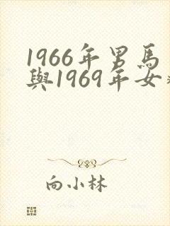 1966年男马与1969年女鸡婚配封面