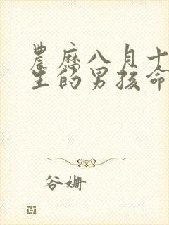 农历八月十六出生的男孩命运