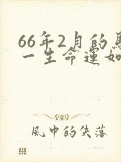 66年2月的马一生命运如何