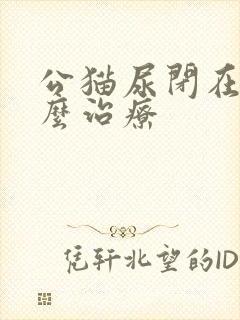 公猫尿闭在家怎么治疗封面