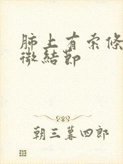 肺上有索条影和微结节