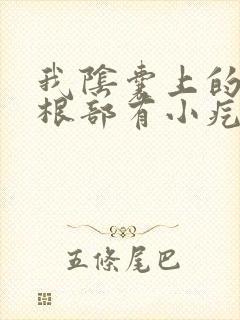 我阴囊上的阴毛根部有小疙瘩