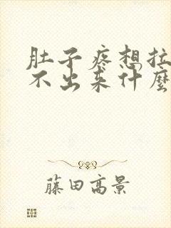 肚子疼想拉屎拉不出来什么原因