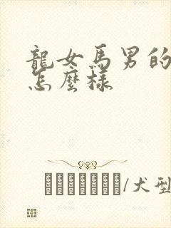 龙女马男的姻缘怎么样