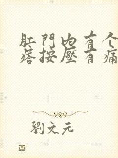 肛门内有个硬疙瘩按压有痛感