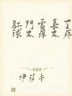 肛门处长了个肉球又痒又疼