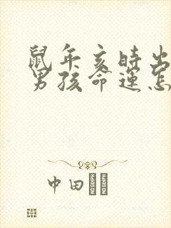 鼠年亥时出生的男孩命运怎么样