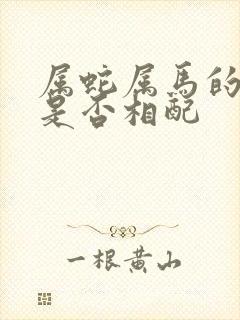 属蛇属马的婚姻是否相配