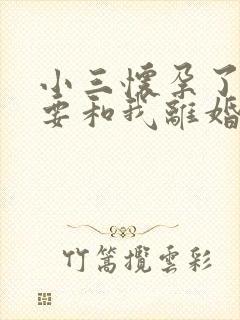 小三怀孕了老公要和我离婚我该怎么办封面