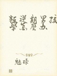 叛逆期男孩子厌学怎么办