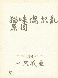 猫咪偶尔乱尿的原因