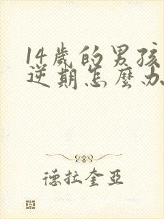 14岁的男孩叛逆期怎么办