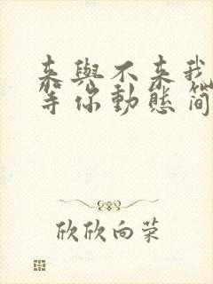 来与不来我都在等你动态简谱伴奏