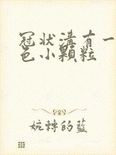 冠状沟有一排白色小颗粒