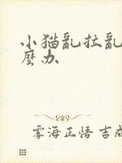 小猫乱拉乱尿怎么办