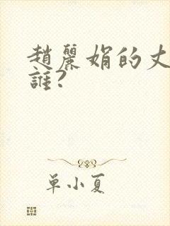 赵丽娟的丈夫是谁?封面