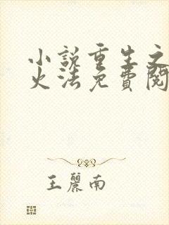 小说重生之狂暴火法免费阅读封面